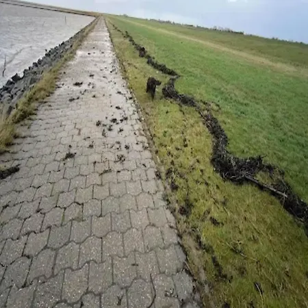 In Vakantiehuis Dornumersiel